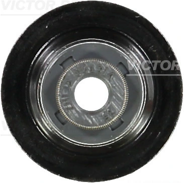Seal Ring, valve stem